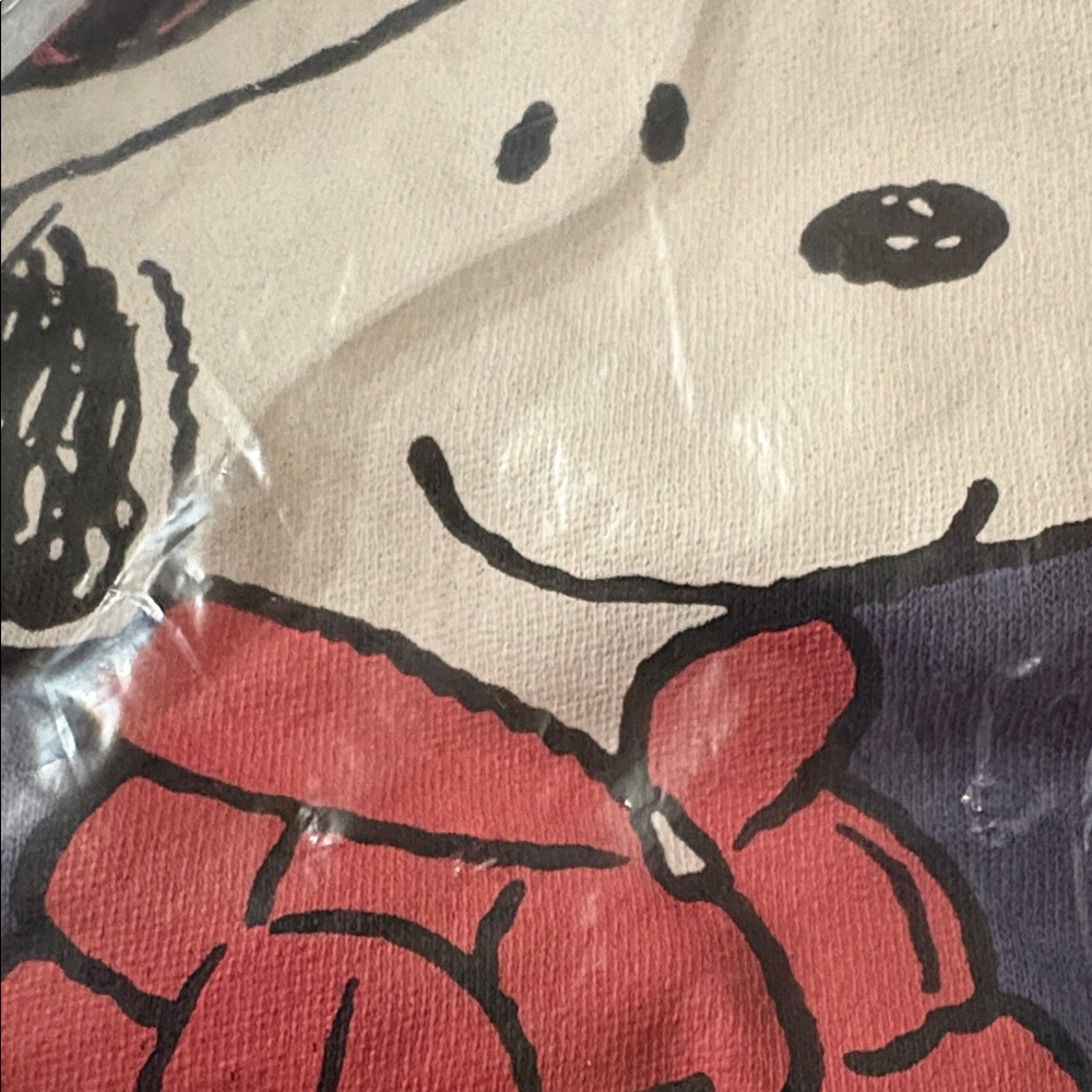NWT Peanuts Navy Sweatshirt with Snoopy and Woodstock - Picture 6 of 11